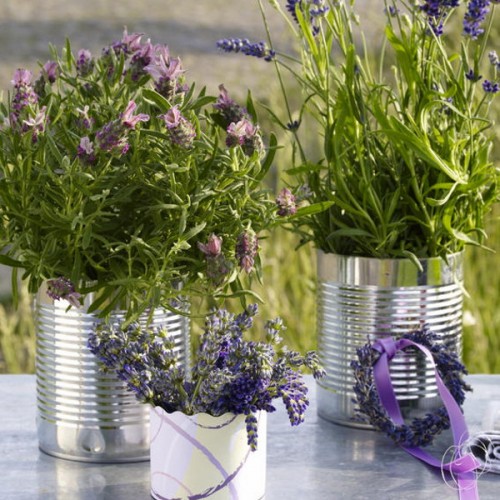 Voňavé levanduľové inšpirácie