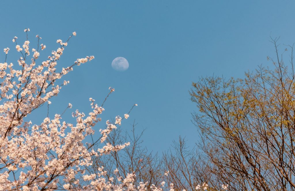 vidiecka záhrada v duchu slow living - lunarny kalendár - mesiac